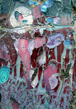 IMGP0040Autok1
